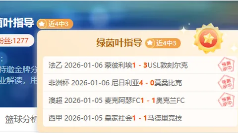 “俊朗少年帕瓦尔步入29岁生日，评论区齐贺寿辰！”