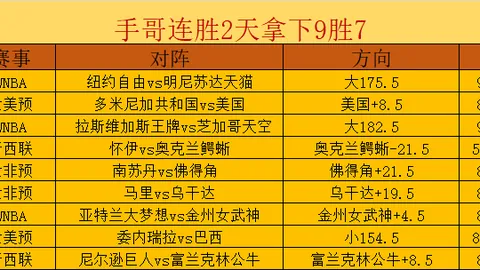 新西兰足球对决：怀伊队强势归来，迎战金块队深度解析